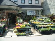 「フラワーショップ牧野」　（秋田県由利本荘市）の花屋店舗写真1