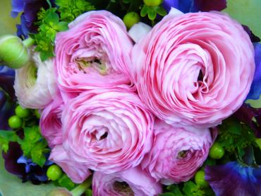 ピンクの・・・♪♪｜「フラワーショップ牧野」　（秋田県由利本荘市の花キューピット加盟店 花屋）のブログ